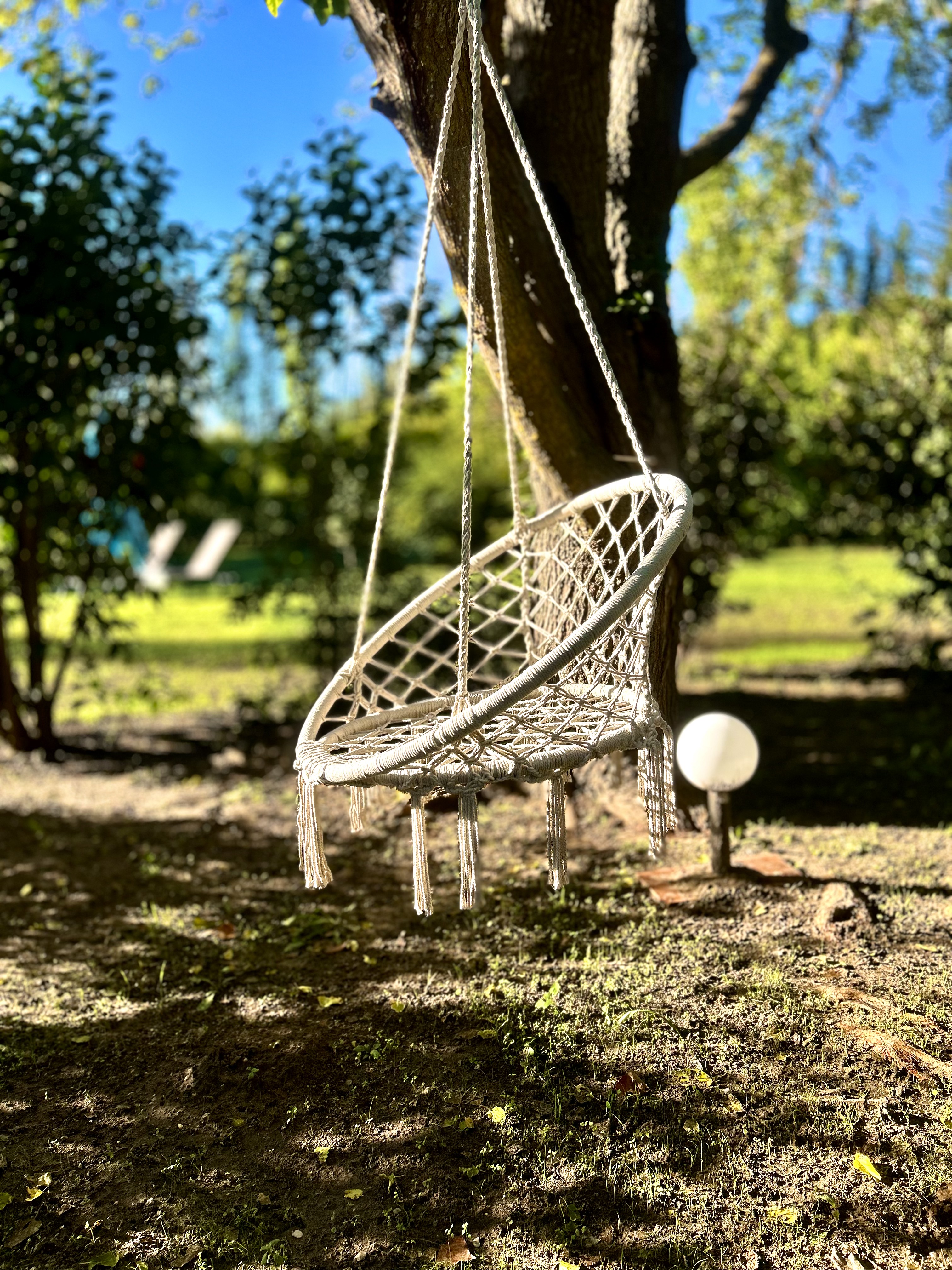 Jardin paysager du domaine